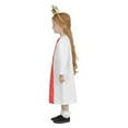 thumbnail image 3 of Julia Donaldson Zog Princess Pearl Costume Child, 3 of 4