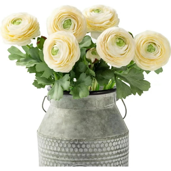 Wishrage 6PCS Artificial Ranunculus Flowers with Real Touch Stem Silk Ranunculus Flowers for Household Arrangement