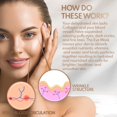 thumbnail image 3 of Averr Aglow Decadent Restoring Cream Crema hidratante antienvejecimiento para la piel del rostro y el cuello Reduce las arrugas y las marcas oscuras de la piel Defensa natural del rostro seco, 3 of 5