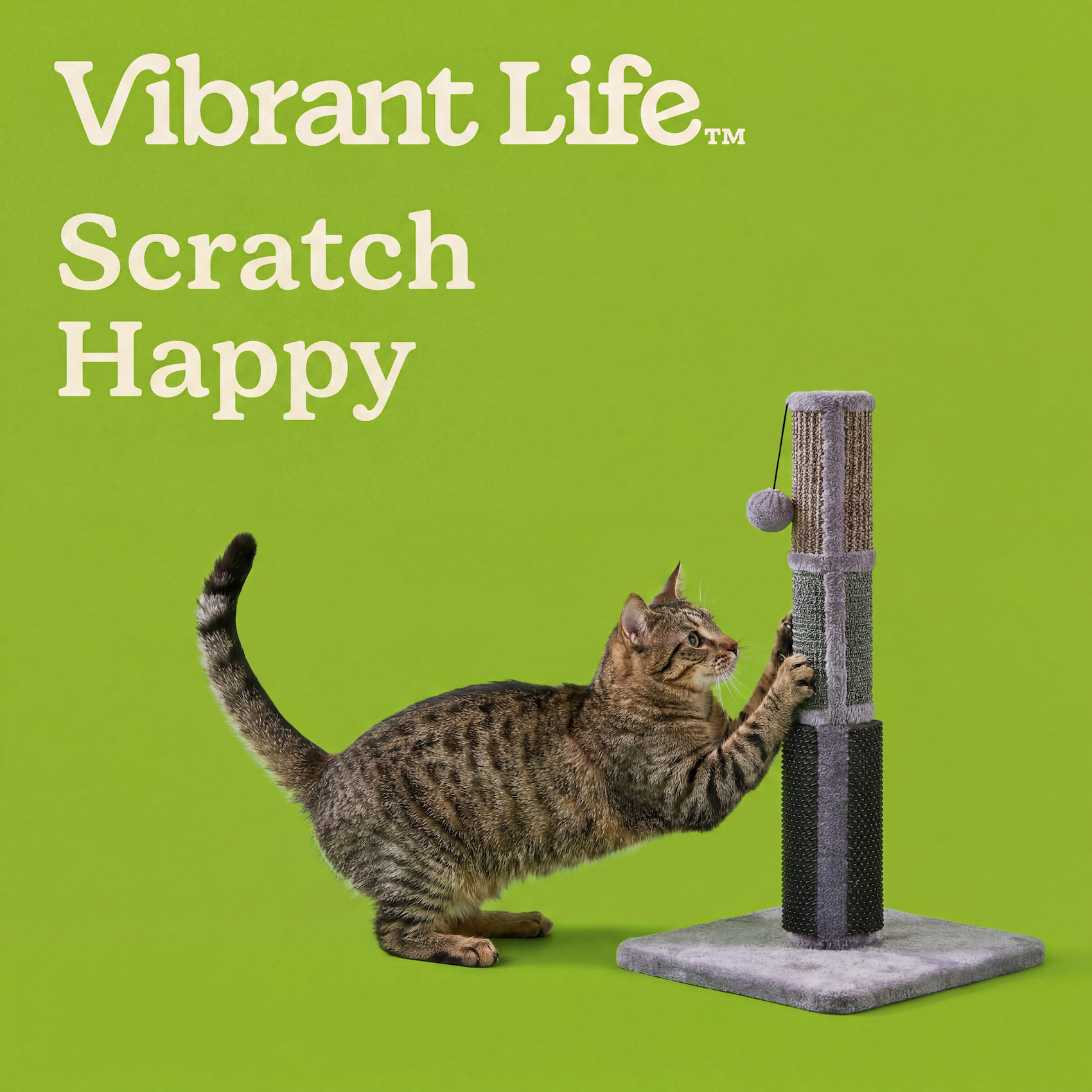 Vibrant Life 3-Surface Cat Scratching Post 24 Inch photo 4