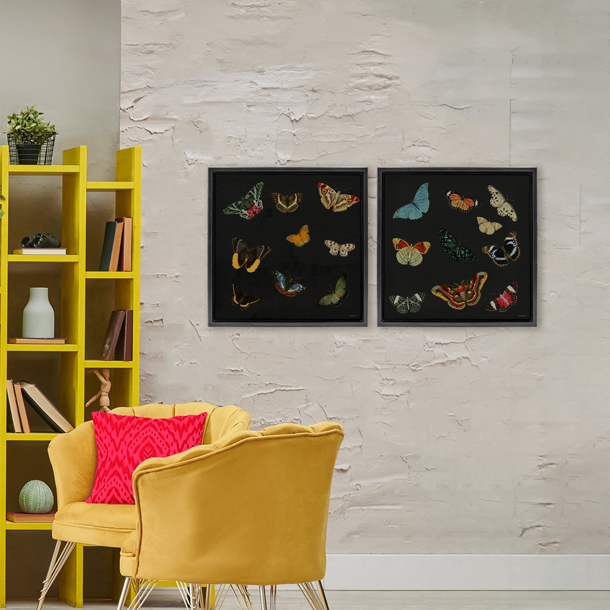 Stupell Industries Entomology Collection on Black 2 Piece Black Framed Floater Canvas Set, design by Dan Meneely