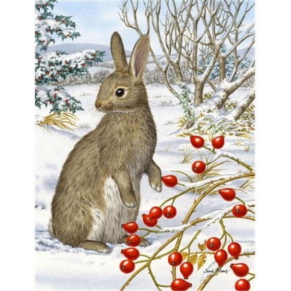 Rabbit With Berries Flag Canvas House Size