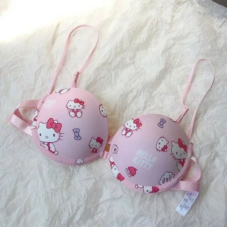 Kawaii Sanrio Hello Kitty Bra Set Sweet Underwear Panties Set Push-Up Bra  Comic Underwear Sexy Pure Desire Girl Birthday Gift 