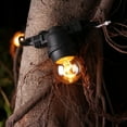 thumbnail image 2 of 2W Amber Light Bulbs, Decorative Led For Multi Usage In Indoor And Outdoor Applications (G40), 2 of 6