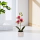 thumbnail image 5 of Decoración del hogar, decoración de habitaciones, decoración de paredes, orquídea Phalaenopsis artificial, arreglo floral realista, decoración en maceta, accesorio para fotografía de bodas, flores, pl, 5 of 9