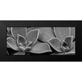 thumbnail image 2 of Phillip, Jamie 14x8 Black Modern Framed Museum Art Print Titled - Succulent 1, 2 of 5