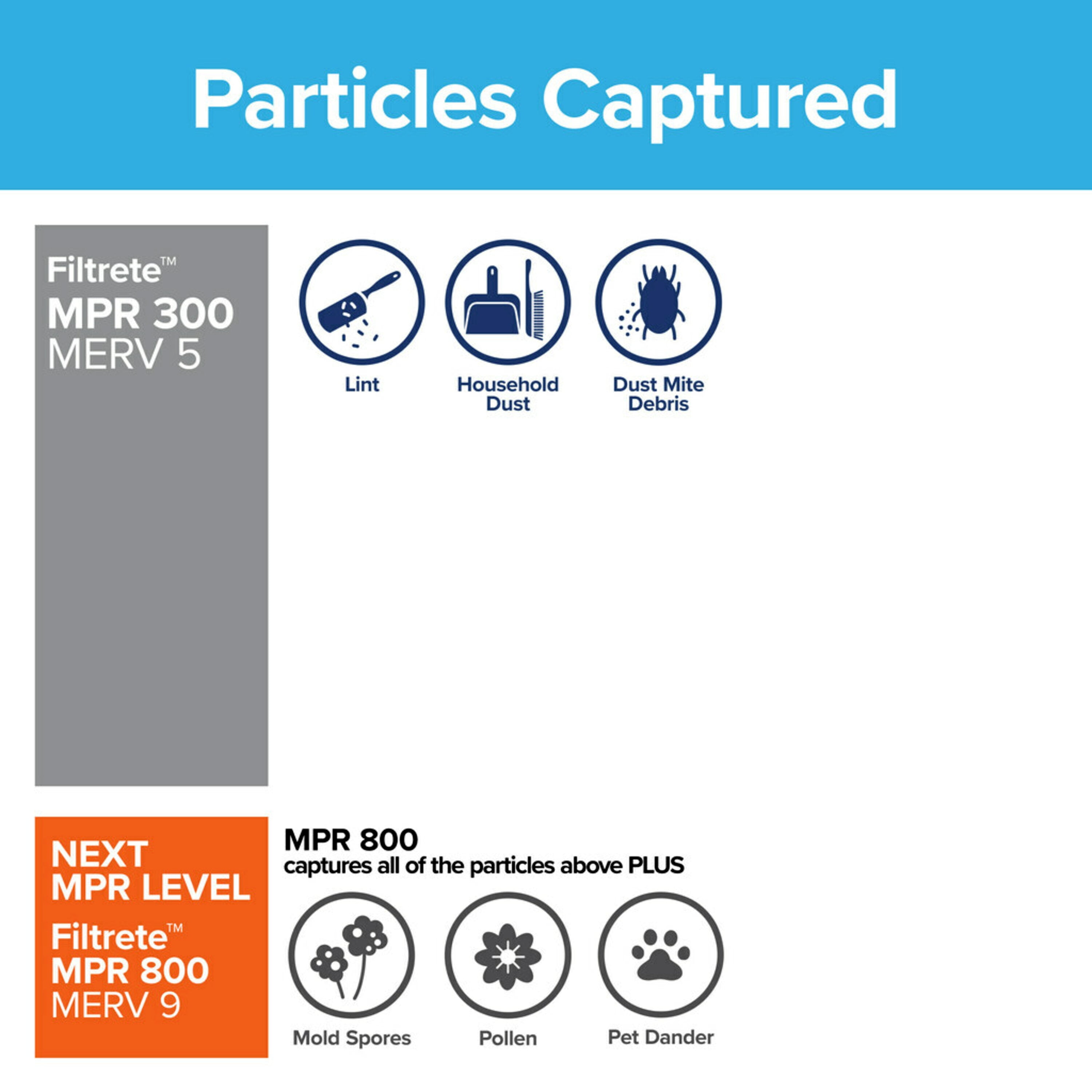 MPR 300 Clean Living Basic Dust 6-Pack AC Furnace Air Filter exact dimensions 11.69 x 23.69 x 0.81 Filtrete 12x24x1 