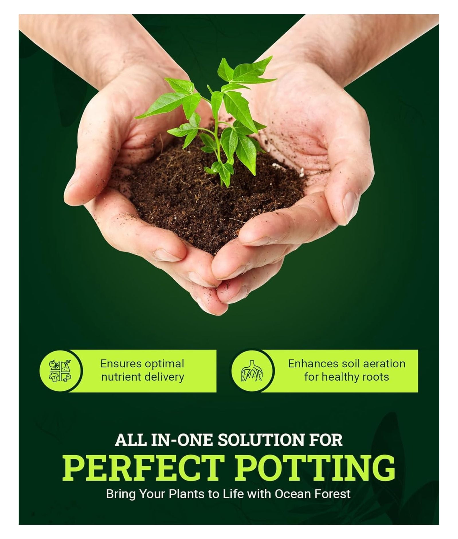 Ocean Forest for All Container Plants Potting Soil, 12 Quart with Light Aerated Texture, pH Adjusted, Moisture Retention (4 Pack)