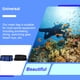thumbnail image 4 of Soidarity Bolsa de malla para buceo, red acuática, almacenamiento de pesca submarina, deportes acuáticos, baño, correa ajustable, paquete de gran Deportes acuáticos Negro Soidarity OD027462-02, 4 of 6