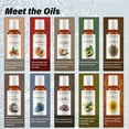thumbnail image 3 of Set variado de aceites transportadores Plant Guru, 60 ml x 10, 100% puros, 3 of 8
