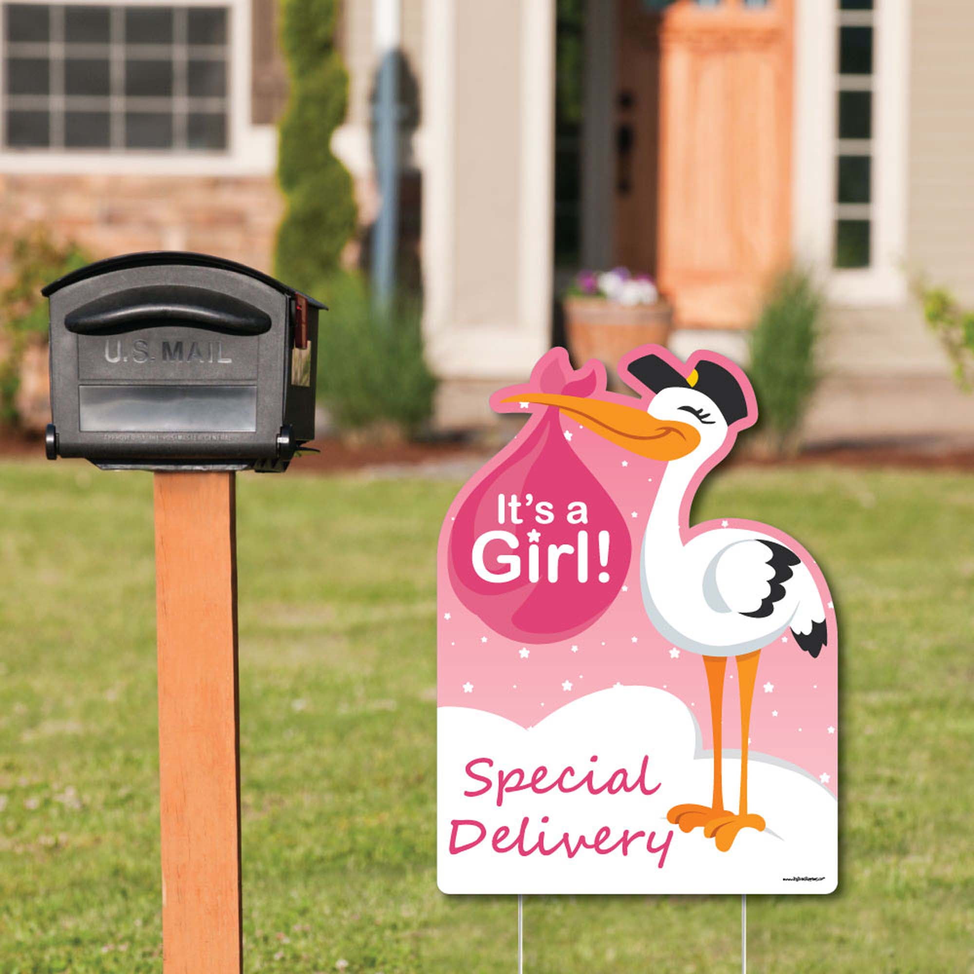 Big Dot of Happiness Girl Special Delivery - Baby Shower Decorations - Pink It's A Girl Stork Baby Announcement & Welcome Yard Sign