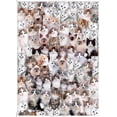 thumbnail image 1 of 1000 Piece Puzzle-Cardboard Puzzles-Relax Puzzles Games-Cat World Puzzle (70x50cm/27.5x19.7in) for Children and Adults Gifts, 1 of 4