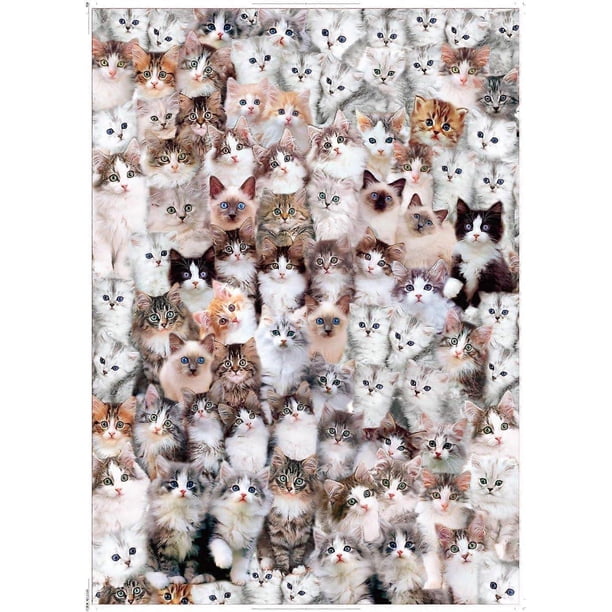1000 Piece Puzzle-Cardboard Puzzles-Relax Puzzles Games-Cat World Puzzle (70x50cm/27.5x19.7in) for Children and Adults Gifts