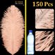 thumbnail image 2 of Plumas de Avestruz Berlune 150 Pzs Naturales 30-35 cm Champagne, 2 of 6