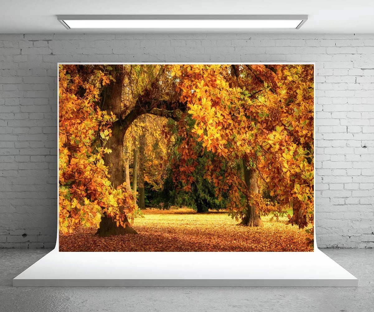 5X7FT-Autumn Maple Leaf Photography Backdrops Nature Sence Photo Studio Background 