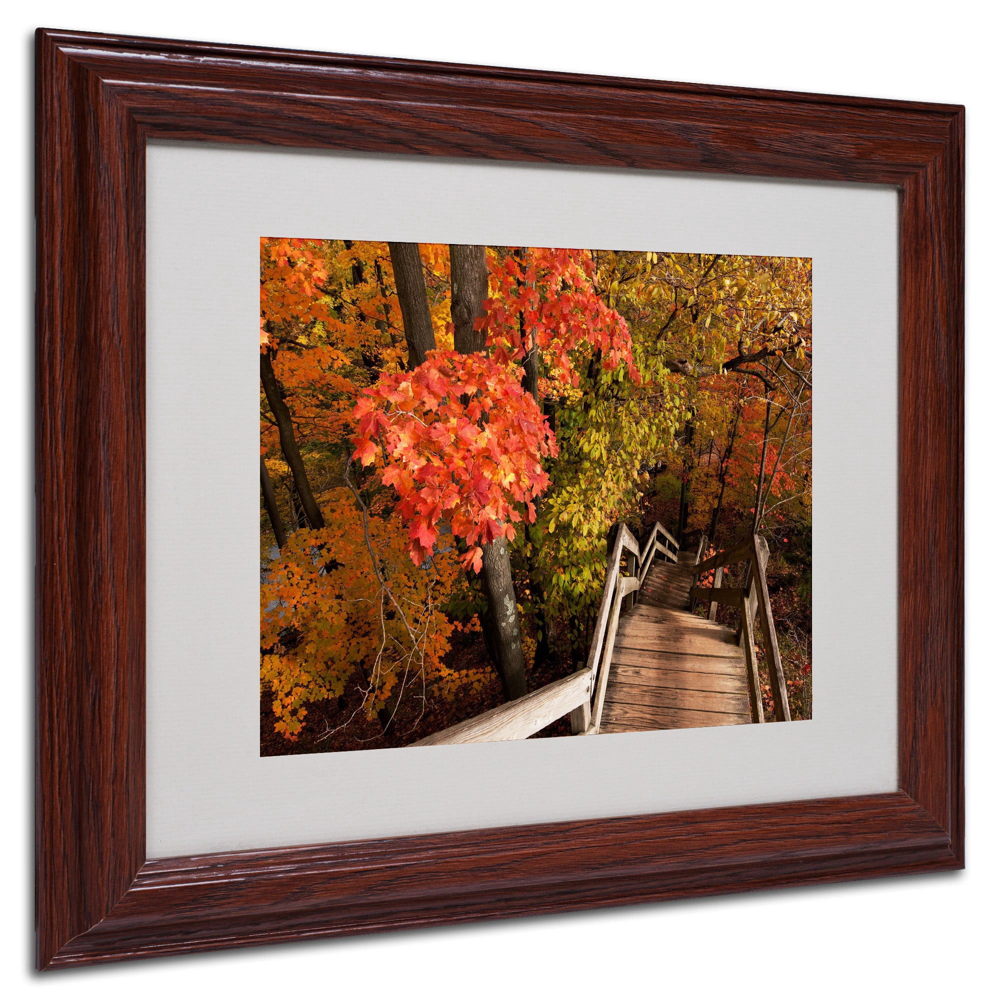 Trademark Fine Art "Brilliant Autumn Stairway" Canvas Art by Kurt Shaffer, Black Frame