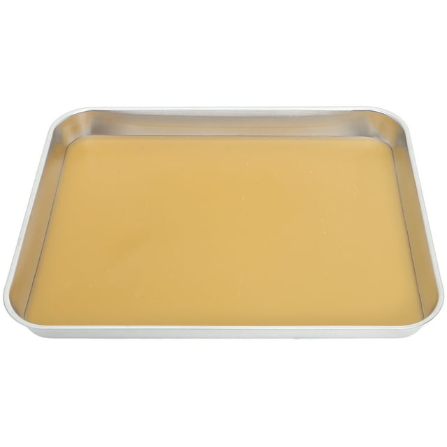 Stainless Steel Dissection Tray with Wax Lining for Biology Labs for Middle and High School Experiments Metal Dissecting Pan Wax Tray Laboratory Dissecting Trays