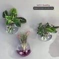 thumbnail image 6 of WGV Wall Hanging Planter Terrarium, Diameter 6", Clear Mounted DIY Succulents Air Glass Floral Container Vase, Tea Light Votive Candle Holder for Decoration 1 Piece, 6 of 7