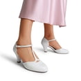 thumbnail image 7 of Dream Pairs Women's T-Strap Heels with 6.5cm Block Heel, Vintage-Inspired Mary Jane Pumps, 7 of 7