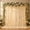 Champagne with Lights, variant on 2 Pcs 10 Ft Sage Green Backdrop Curtain with USB String Lights, Sheer Event Drapes for Weddings and Celebrations, Elegant Photo Booth Background for Parties and Receptions