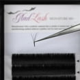 thumbnail image 2 of Rapid Fan Lashes - Mega Volume - 12 Row, 2 of 3