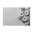 thumbnail image 2 of Three White Flower Forest Floral Nature Photography Canvas Wall Art for Home Decor Ready-to-Hang, 2 of 18