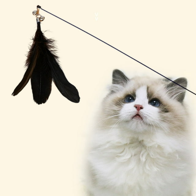 Birdeem Cat Teaser Wand, Interactive Feather Toy with Bells and Catnip, 19 Inches Durable Spring Play Stick for Indoor Cats Exercise, Replaceable Feathers Cat Toy