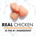 thumbnail image 4 of Nutro Grain Free Slow Cooked Chicken Paté Wet Dog Food, 4 of 6