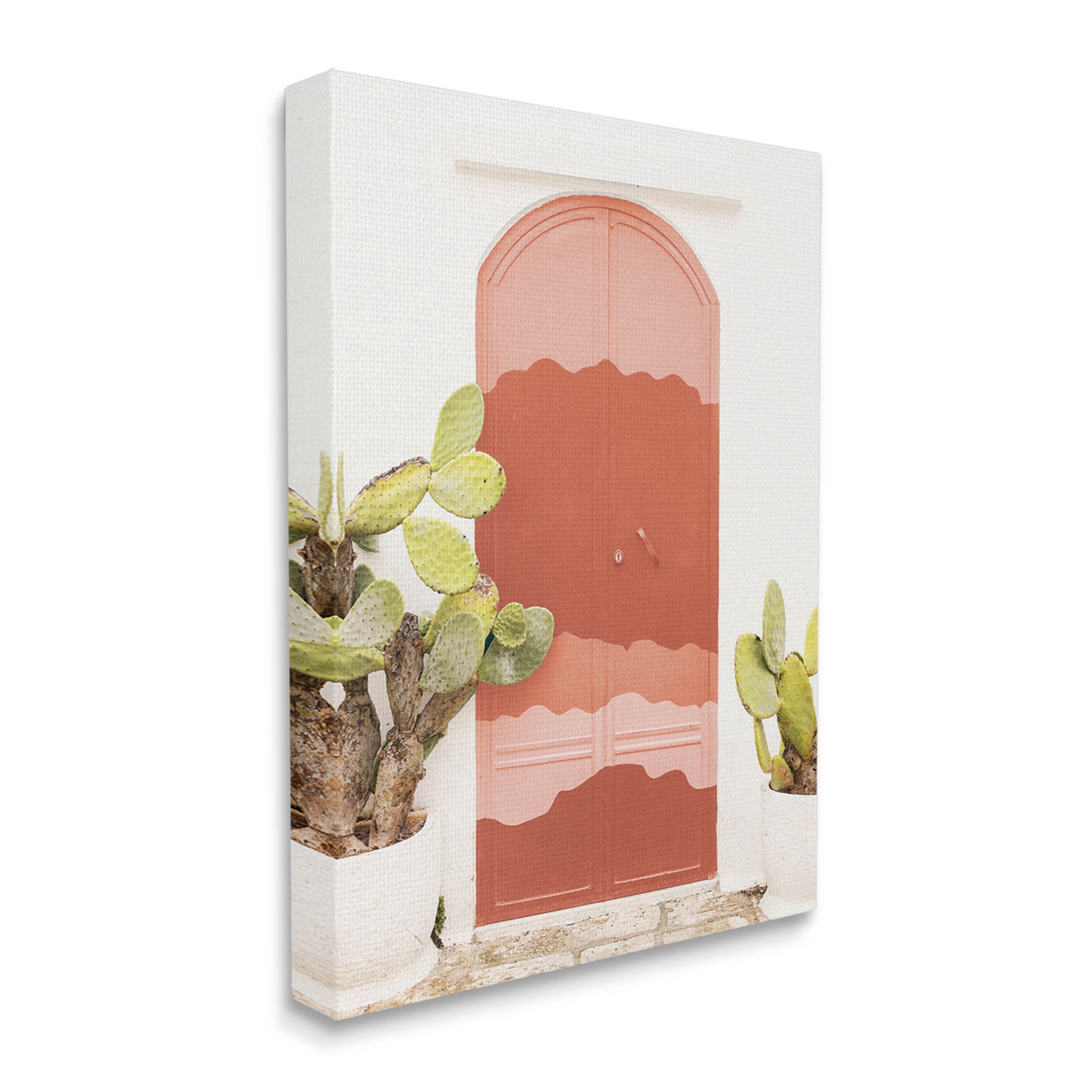 Contemporary Desert Doorway Cactus Botanical & Floral Photograph Gallery Wrapped Canvas Print Wall Art