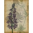 thumbnail image 2 of Studio W 15x18 Gold Ornate Wood Framed with Double Matting Museum Art Print Titled - Fuchsia Flowers IV, 2 of 4