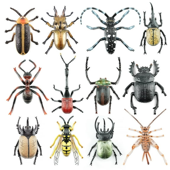 Toymany Simulation Insect & Beetle Animal Model Toy Mini Figures Dolls Action Figurines 12pcs Set Toys Children Gift Cake Decor