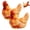 2pcs, variant on Realistic Chicken-Shaped Plush Pillow Cute Hen Stuffed Animal Decor Cushion 3D Soft Lifelike Feather Print Rounded Body Red Comb Beak Tail Feet Sofa Bedroom for Adults Gift Display Easter