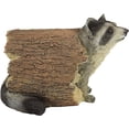 thumbnail image 5 of Bandit the Raccoon Garden Ornament Animal Statue, 25.5cm, Polyresin, Full Color Palette, 5 of 5