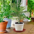 thumbnail image 4 of unbranded 20Ud Platos Para Macetas De Plástico Para Plantas Interiores Con Protección, 4 of 6