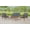 Walnut/Gray, variant on Linon Lathan 4-Piece Acacia Outdoor Conversation Set with Coffee Table, Loveseat & Chairs, Walnut/Gray