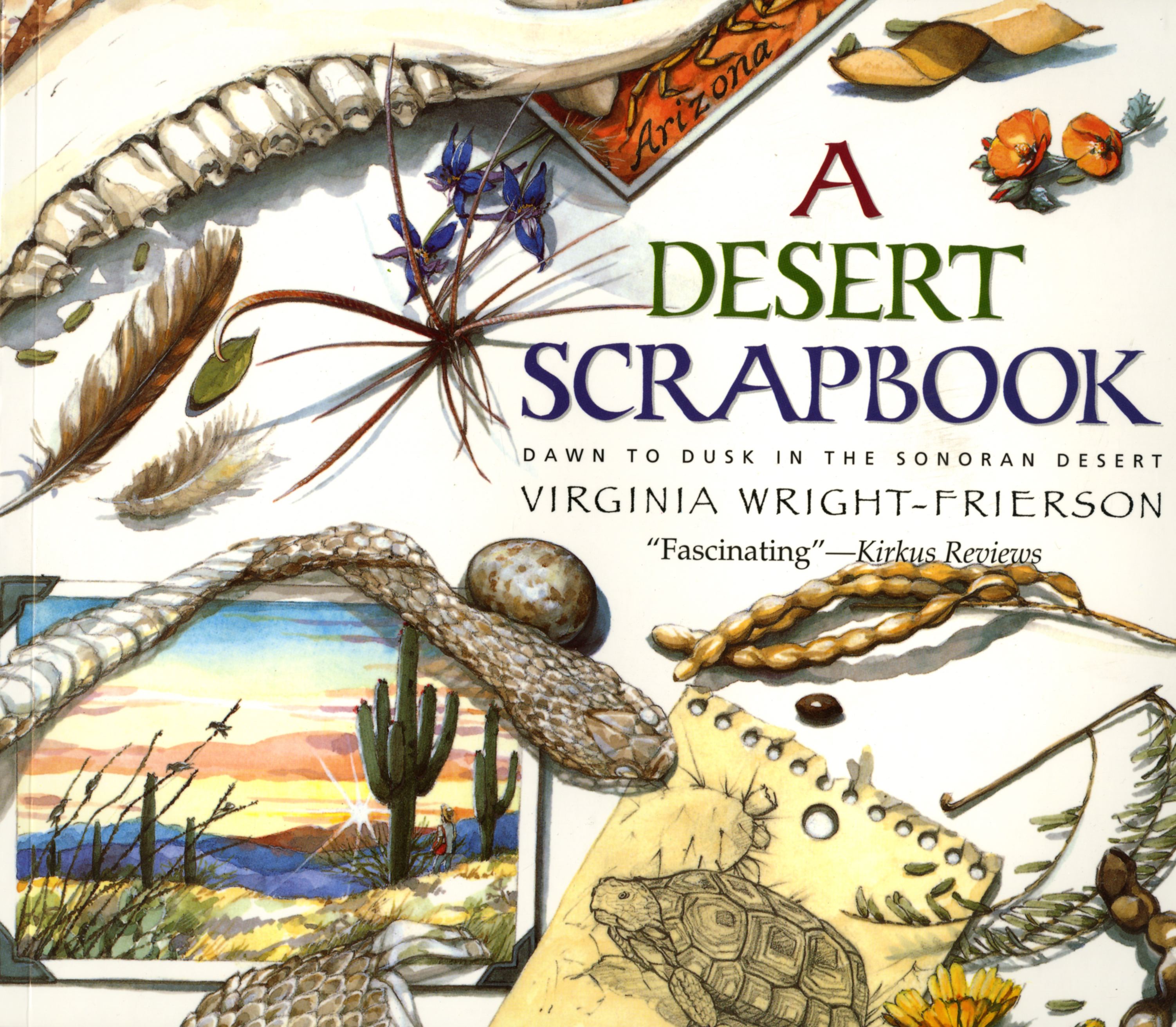 Desert Scrapbook Desert Scrapbook