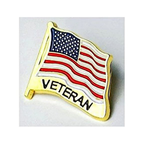 Lot Of 12 NEW DESIGN USA Flag Veteran Lapel Hat Pin Marines Army Navy Air ForcePM7480 ( 12 Pins )