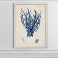 thumbnail image 2 of Wexford Home Antique Coral in Navy V-Framed Canvas - White - 22X30, 2 of 4