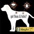 thumbnail image 3 of Happy Jack Paracide Flea and Tick Shampoo for Dogs, Cats, Ferrets and Horses, 8 oz, 3 of 10