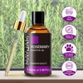 thumbnail image 5 of MAYJAM Rosemary Essential Oil 100% Pure for Hair Growth, Diffuser, Body Bath, Candle Making, Aromatherapy (100ml), 5 of 9