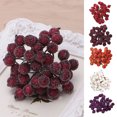 thumbnail image 3 of Christmas Berries Cute Decorative Artificial Berries Artificial Plant for Home, 3 of 9
