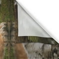 thumbnail image 3 of Ambesonne Tiger Kitchen Curtains, Siberian Mammal Warm Day, 55"x39", Pale Brown, 3 of 3
