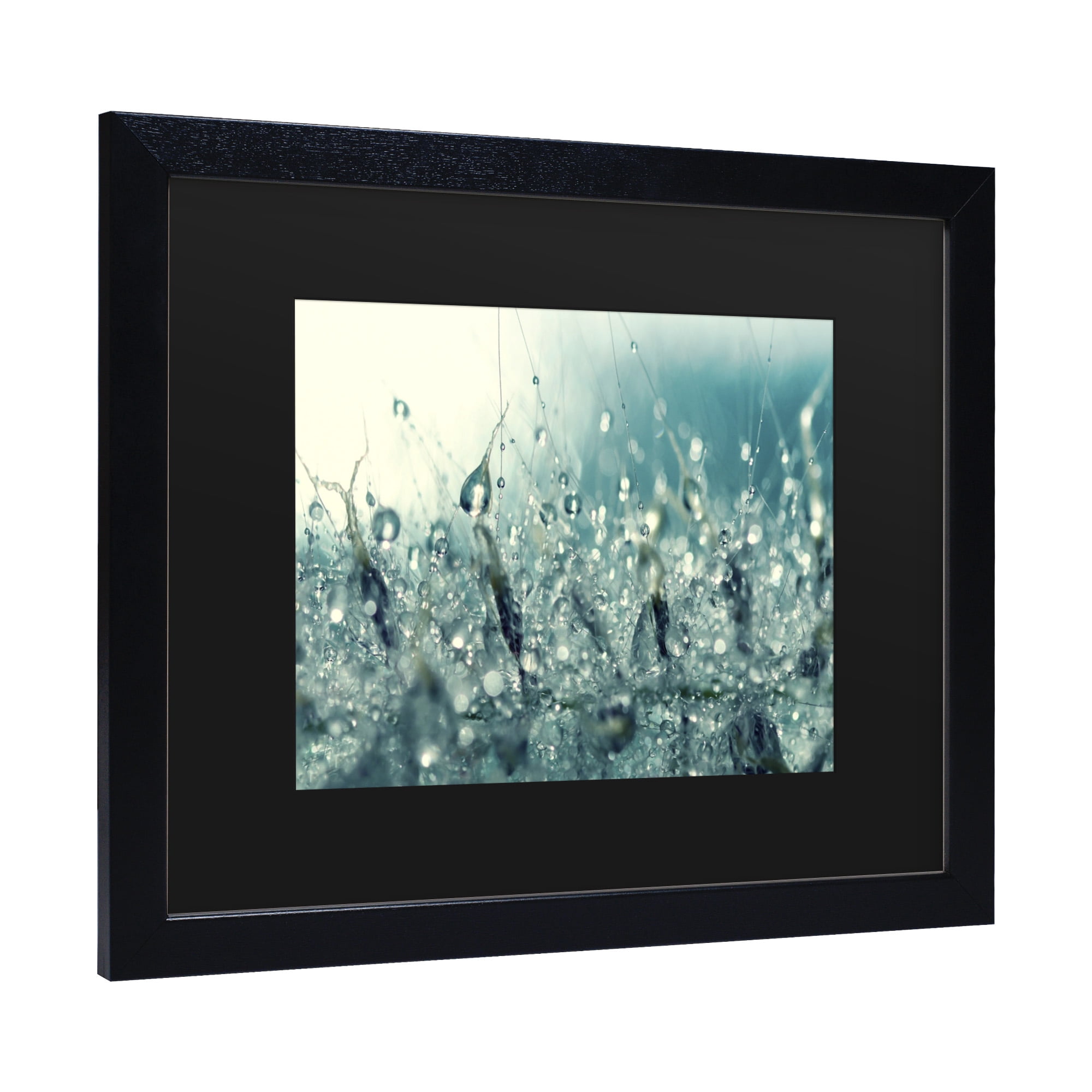 Trademark Fine Art 'Under the Sea' Canvas Art by Beata Czyzowska Young