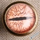 thumbnail image 2 of Manija del armario del armario,perilla del gabinete,Perilla de la puerta, para muebles, de puerta,perilla del cajón, de armario, para tirar Macarena Manija del armario del armario, 2 of 4
