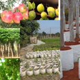 thumbnail image 3 of EIMELI Round Fabric Pots Plant Pouch Root Container Cultivation Pot Planting Grow Bag, 3 of 10