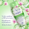 thumbnail image 5 of Vagisil Sensitive Scents Feminine Wash, Cucumber Magnolia Scent, 12 oz, 1 Count, 5 of 10