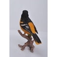 thumbnail image 3 of Hi-Line Gifts Oriole on Branch Outdoor Garden Statue - 7" - Black and Orange, 3 of 5