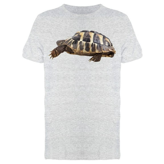 Testudo Hermanni Boettgeri Tee Men's -Image by Shutterstock