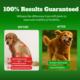 thumbnail image 4 of Dog Joint Supplement Chews with Glucosamine & MSM & Omega 3–Joint Support for Senior & Large Breed Dogs, Alternative for Longevity & Healthy Aging, Mobility Treatment & Flexibility with CoQ10-120 Ct, 4 of 10