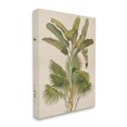 thumbnail image 4 of Stupell Industries Vintage Tropical Plant Botanical & Floral Painting Gallery Wrapped Canvas Art Print Wall Art, 30 x 40, 4 of 8